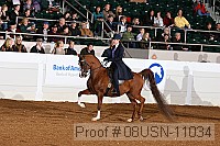 08usn-11034 proof