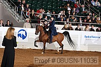 08usn-11036 proof
