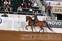 08usn-11039 proof