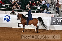 08usn-11041 proof