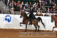 08usn-11043 proof