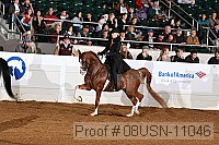 08usn-11046 proof