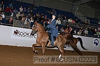 08usn-02223 proof