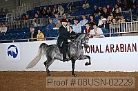 08usn-02229 proof