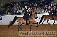 08usn-02232 proof