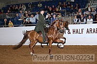 08usn-02234 proof