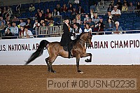 08usn-02238 proof