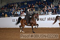 08usn-02239 proof
