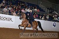 08usn-02250 proof