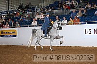 08usn-02265 proof