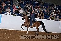 08usn-01772 proof