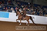 08usn-01795 proof