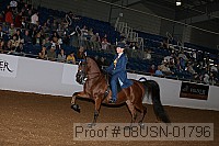 08usn-01796 proof