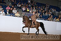 08usn-01800 proof