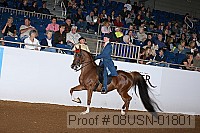 08usn-01801 proof