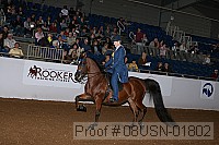 08usn-01802 proof