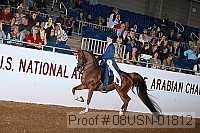 08usn-01812 proof