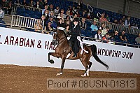 08usn-01813 proof