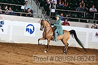08usn-06243 proof