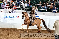 08usn-06252 proof