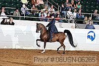 08usn-06265 proof