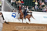 08usn-06267 proof