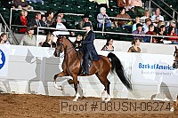 08usn-06274 proof