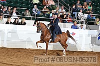 08usn-06278 proof