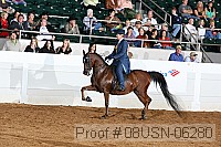 08usn-06280 proof