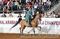 08usn-06281 proof