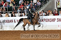 08usn-06285 proof