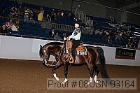 08usn-03164 proof