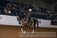 08usn-03166 proof
