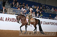 08usn-03173 proof