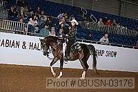 08usn-03176 proof