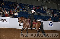 08usn-03186 proof