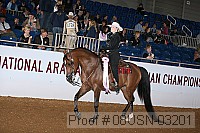 08usn-03201 proof