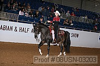 08usn-03203 proof