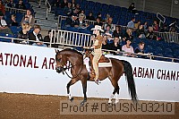 08usn-03210 proof