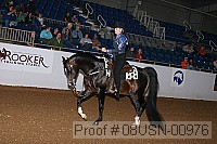 08usn-00976 proof