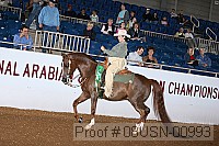 08usn-00993 proof