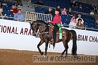 08usn-01016 proof
