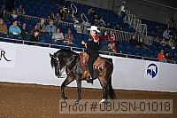08usn-01018 proof