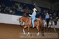 08usn-01022 proof