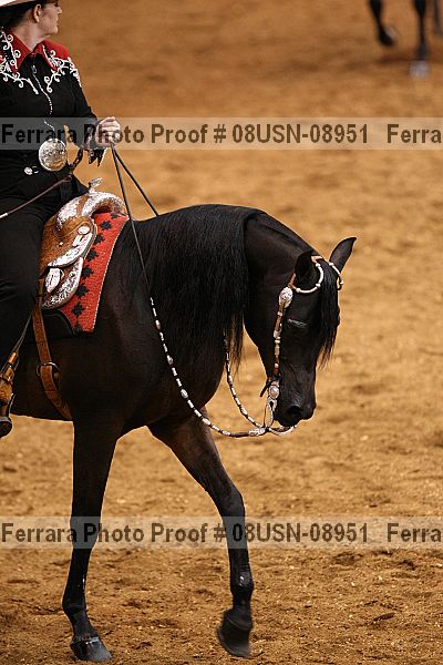 Proof 08usn-08951