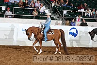 08usn-08960 proof