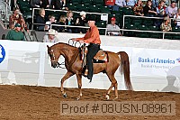08usn-08961 proof