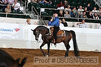 08usn-08963 proof