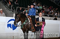 08usn-08974 proof