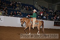 08usn-13181 proof